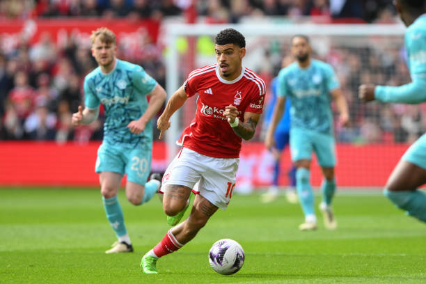 战术意图 战术意图